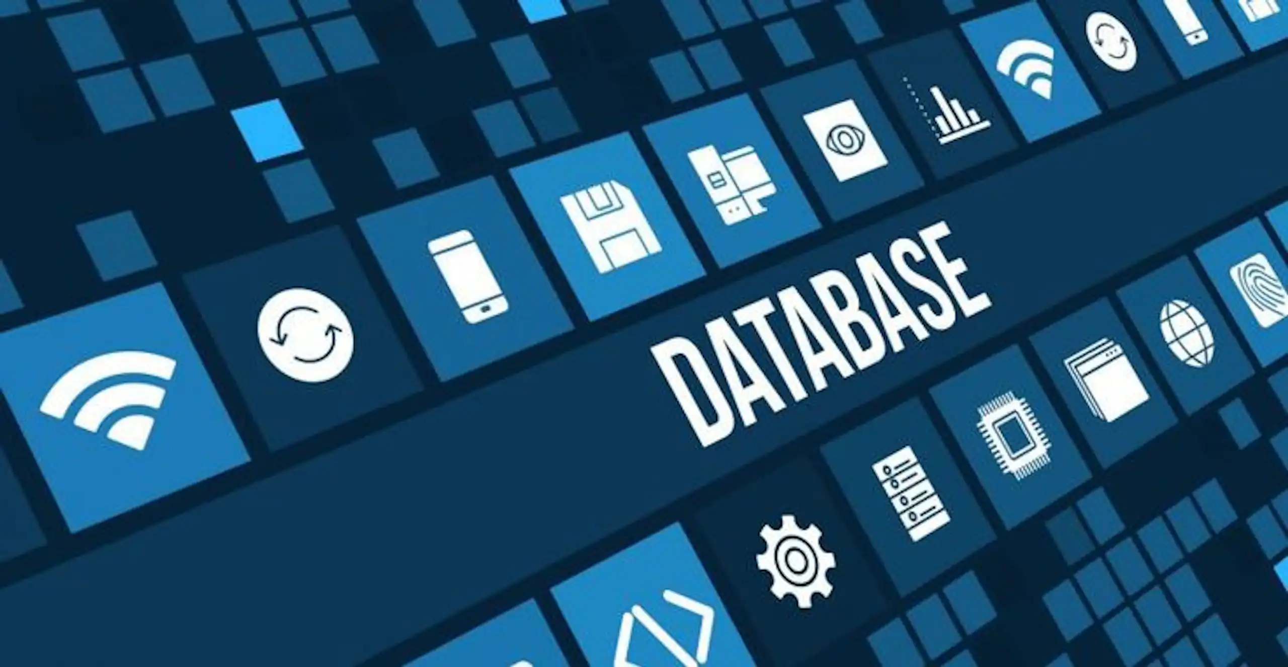Database vs Spreadsheet: When Should a Business Upgrade? image 1