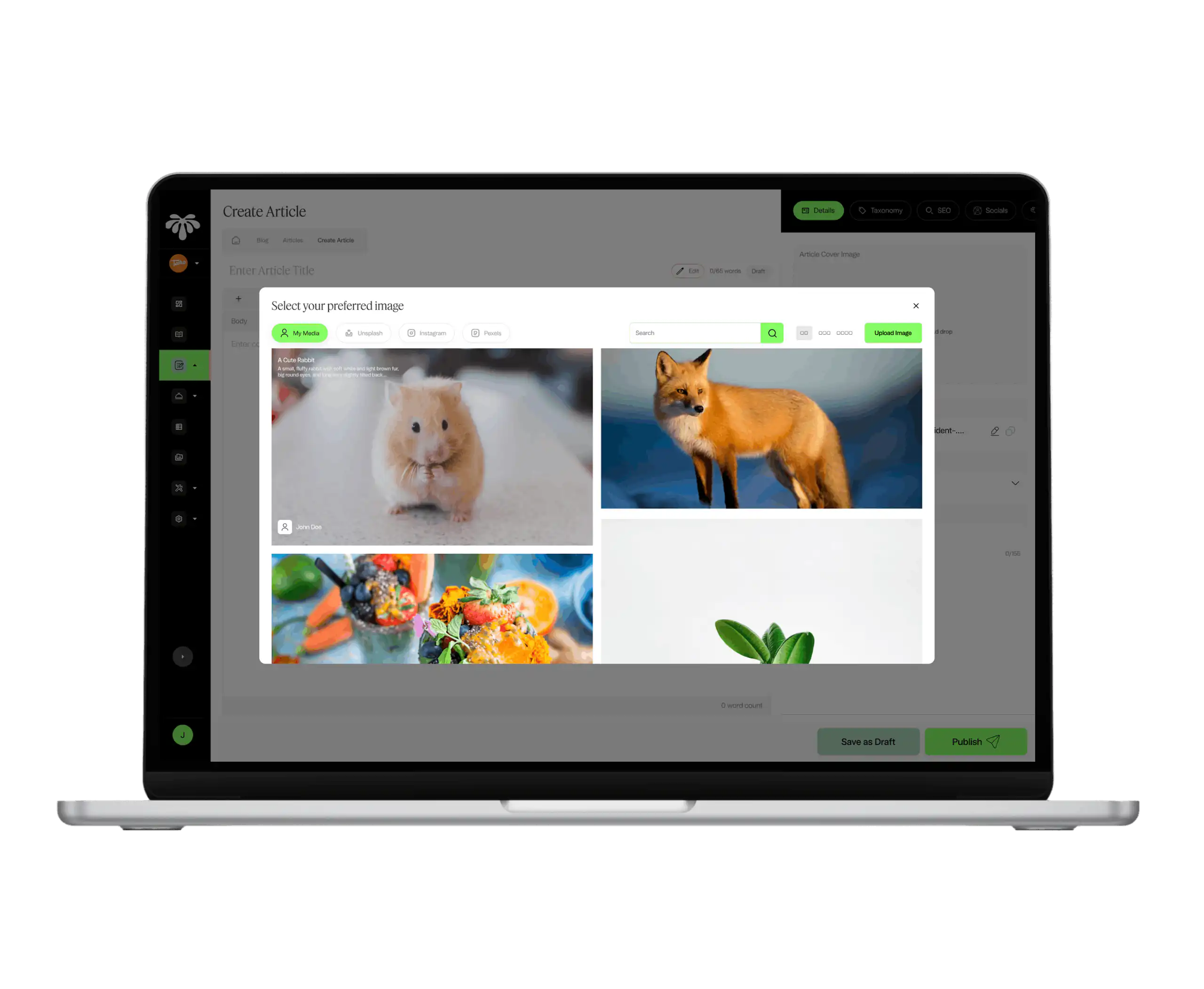 Jungle Creations – Streamlining CMS workflows to boost team productivity