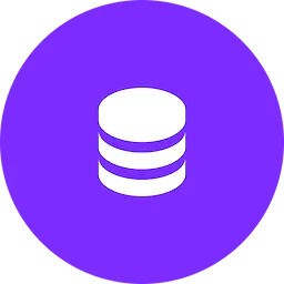 Data Engineer icon