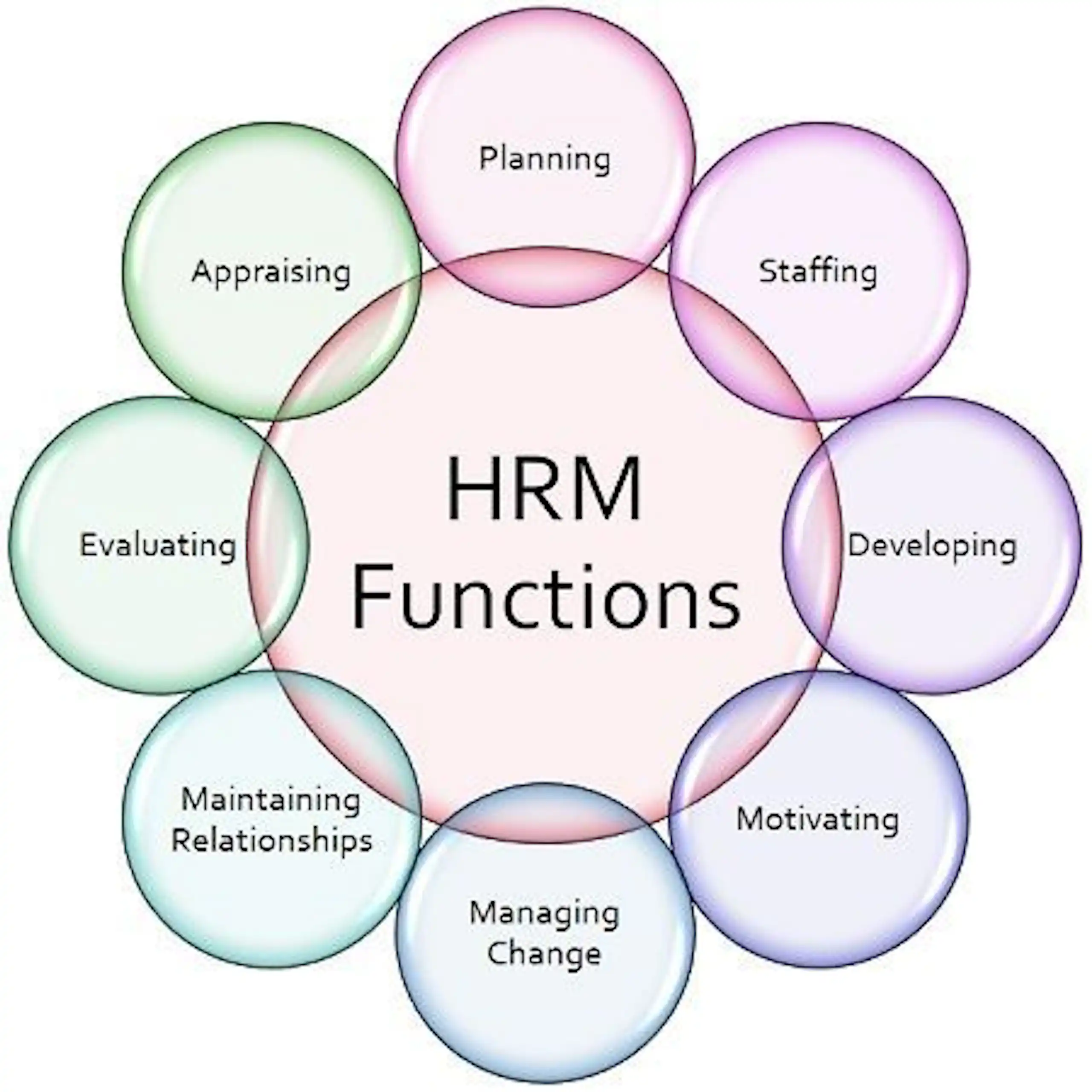 HRM vs CRM: Key Differences & Which System Your Business Needs image 2